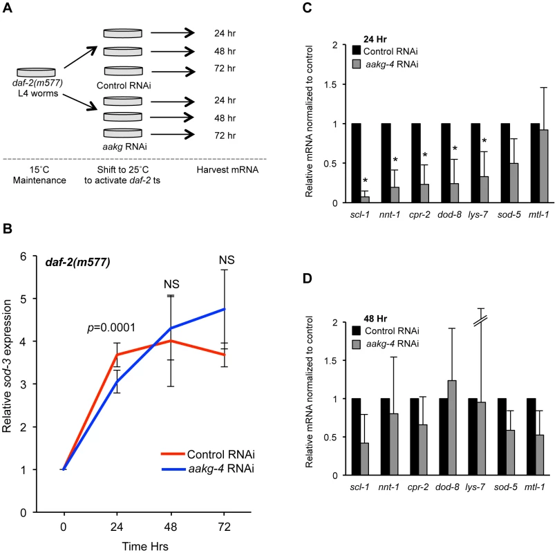 <i>aakg-4</i> RNAi alters dynamics of DAF-16 target gene expression.