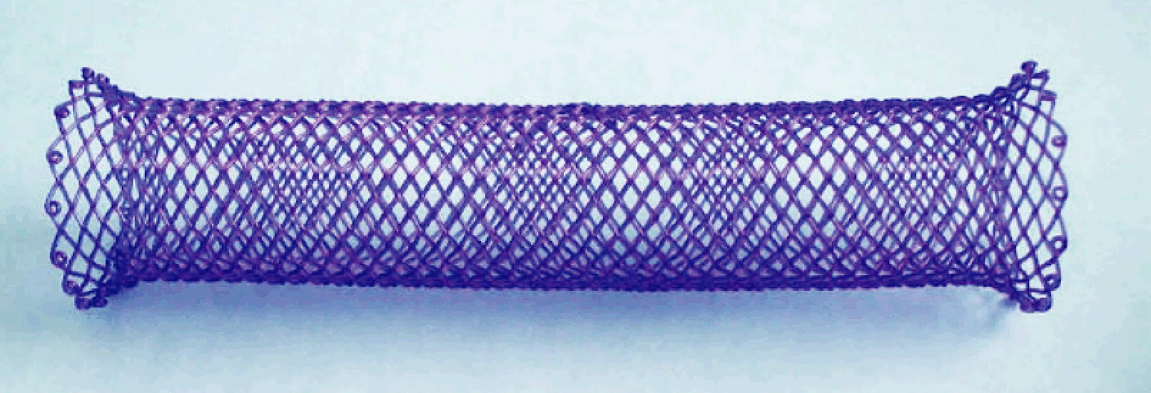 Biodegradabilní stent ELLA (BD stent)
Fig. 6. Biodegradable ELLA stent (BD stent)