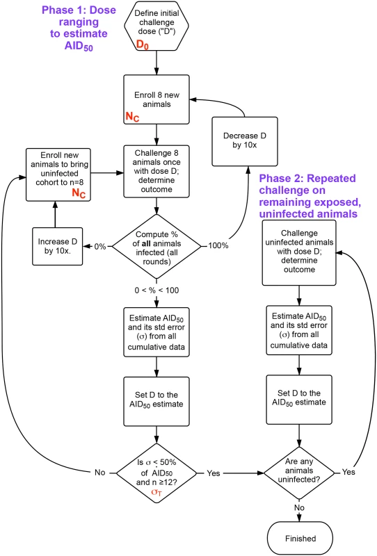 Flow chart of overall procedure.