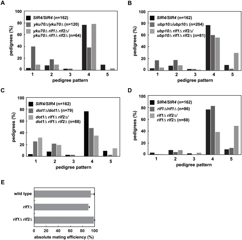 Mutation of <i>RIF1</i> and <i>RIF2</i> define two independent rate limiting steps in <i>de novo</i> establishment of heterochromatin.