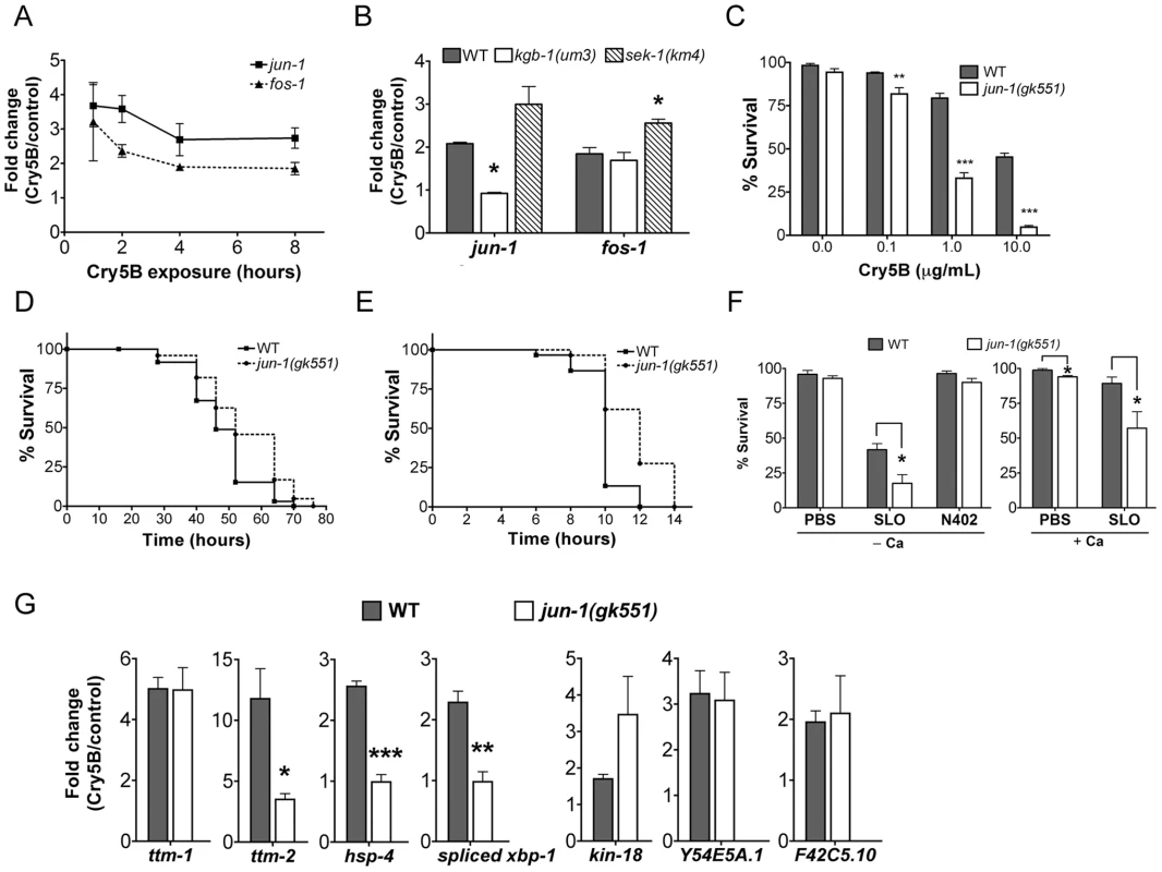 Induction of jun and fos transcripts by Cry5B PFT and specificity of <i>jun-1</i> in protecting <i>C. elegans</i> against PFTs.