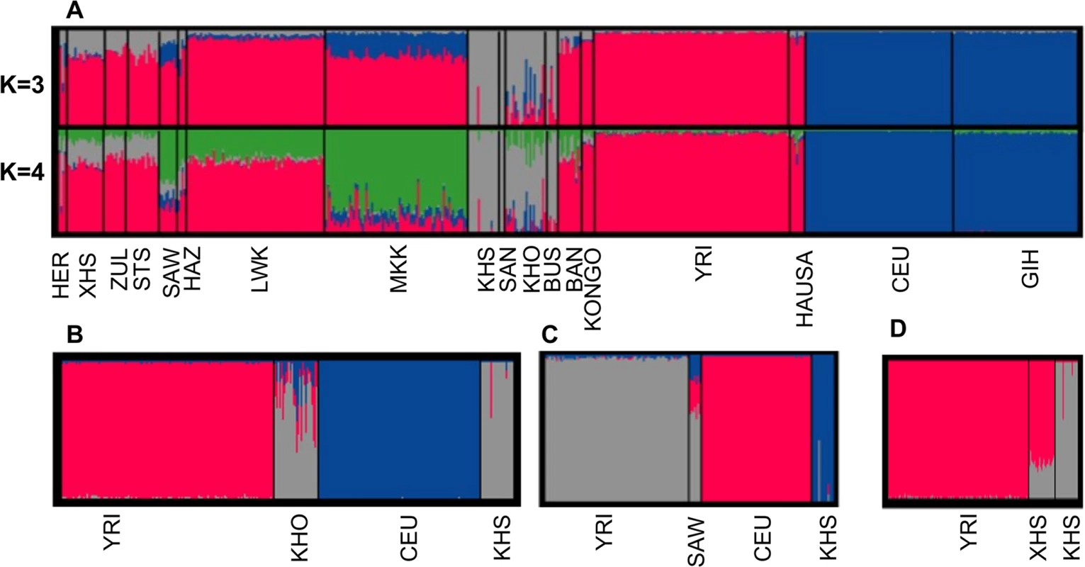 (A) Admixture analysis in southern African and other sub-Saharan African populations compared with Europeans and Asians.