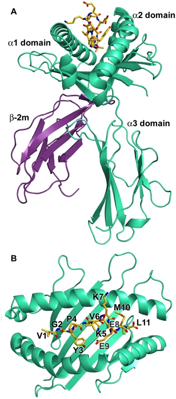 Overview of the structure of N*01301.