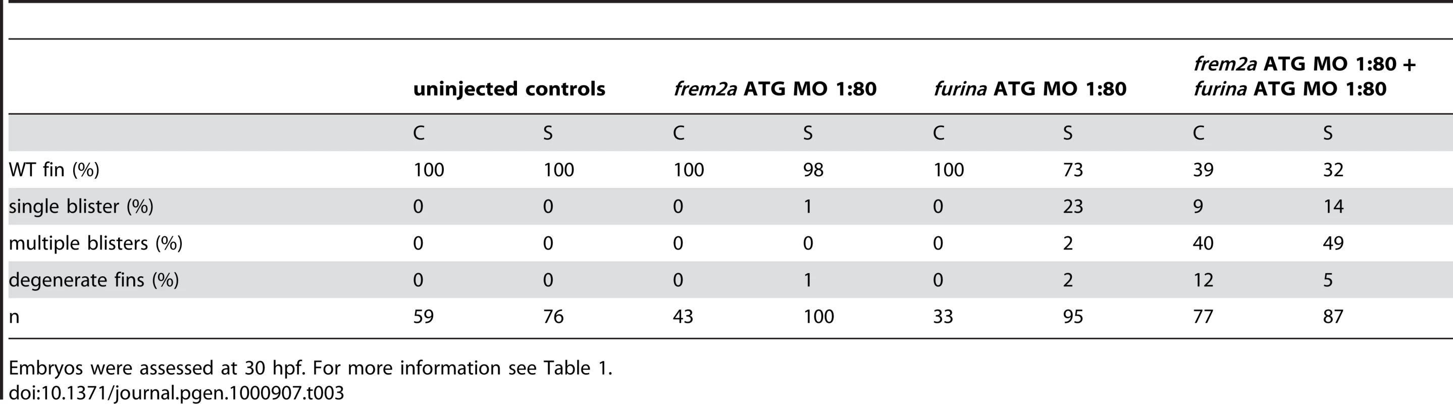 Synergistic interaction between <i>frem2a</i> and <i>furina</i>.
