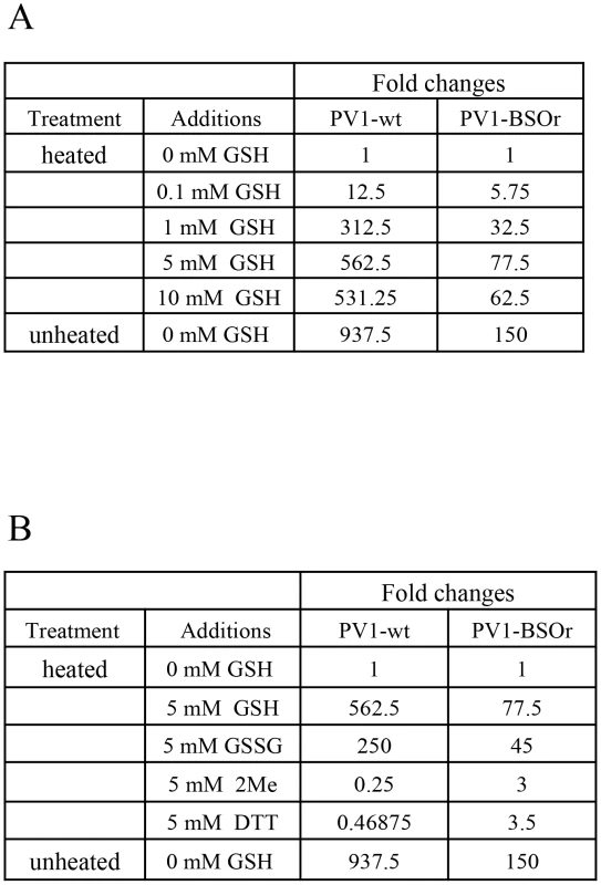 GSH protects PV1-wt and PV1-BSOr from heat inactivation.