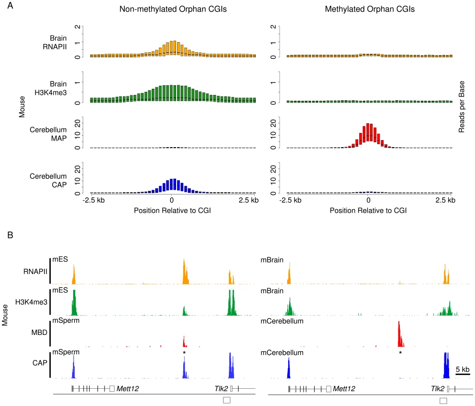 Somatic methylation is incompatible with H3K4me3 and RNAPII occupancy at orphan CGIs.