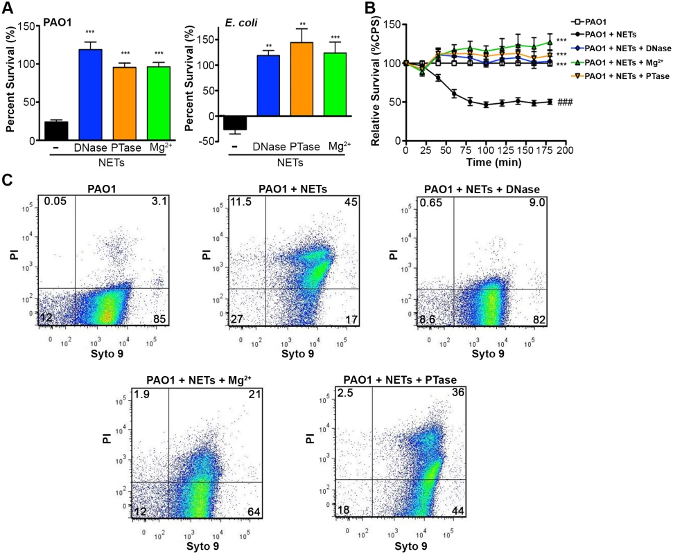 Neutralizing the cation chelating activity of the DNA backbone of NETs protects bacteria.