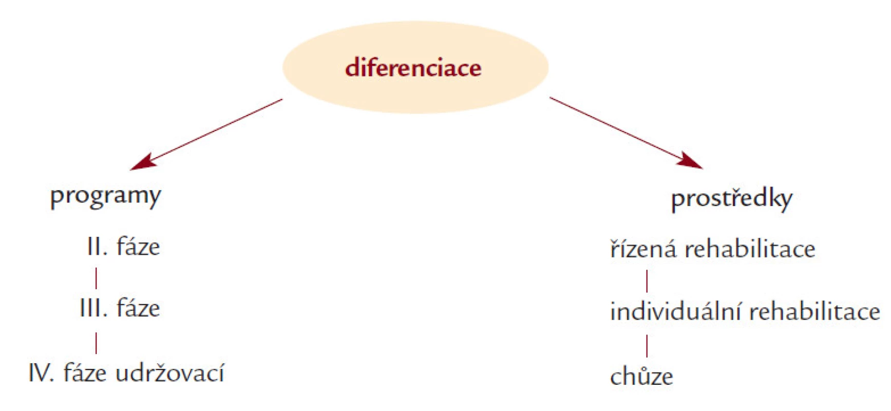 Diferenciace programů a prostředků fyzického zatěžování v rehabilitaci.