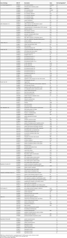 Genes repressed by IscR, identified by RNAseq analysis.