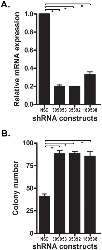 Knock-down of <i>Ntrk3</i> expression contributes to neoplastic transformation in normal colon epithelial cells.