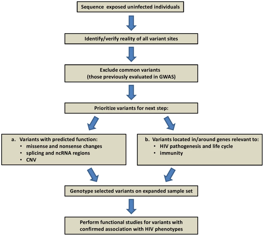 Project framework: human genome resequencing of hemophilia A individuals exposed to HIV-contaminated factor VIII in 1979–1984, yet uninfected.