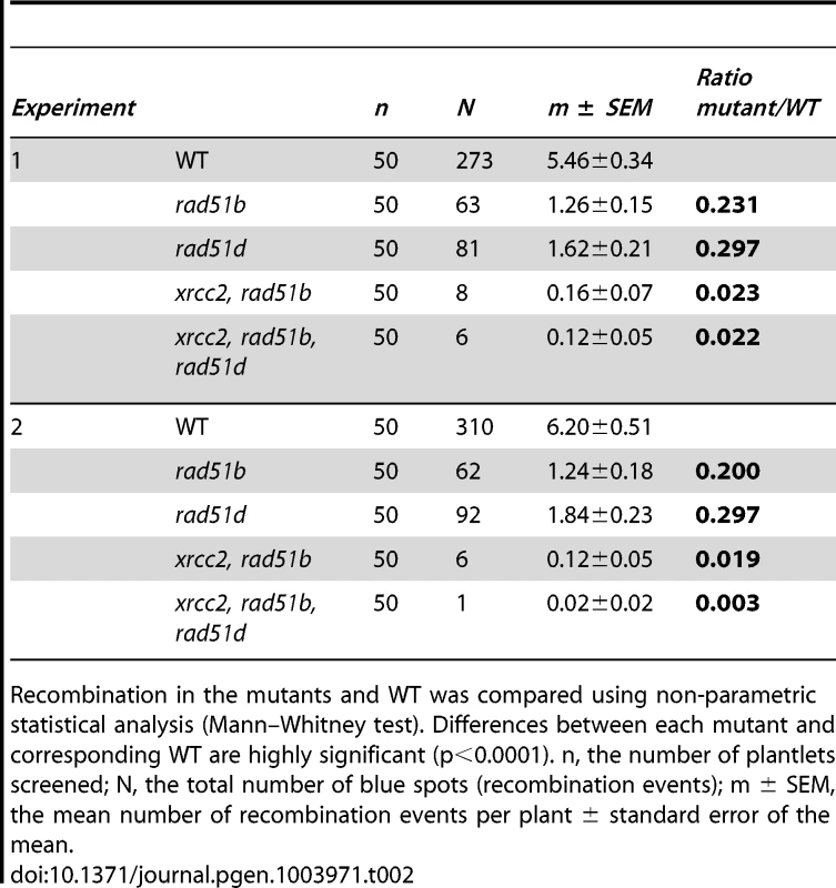 Spontaneous DGU.US recombination in wild-type, <i>rad51b</i>, <i>rad51d</i>, double and triple mutants.