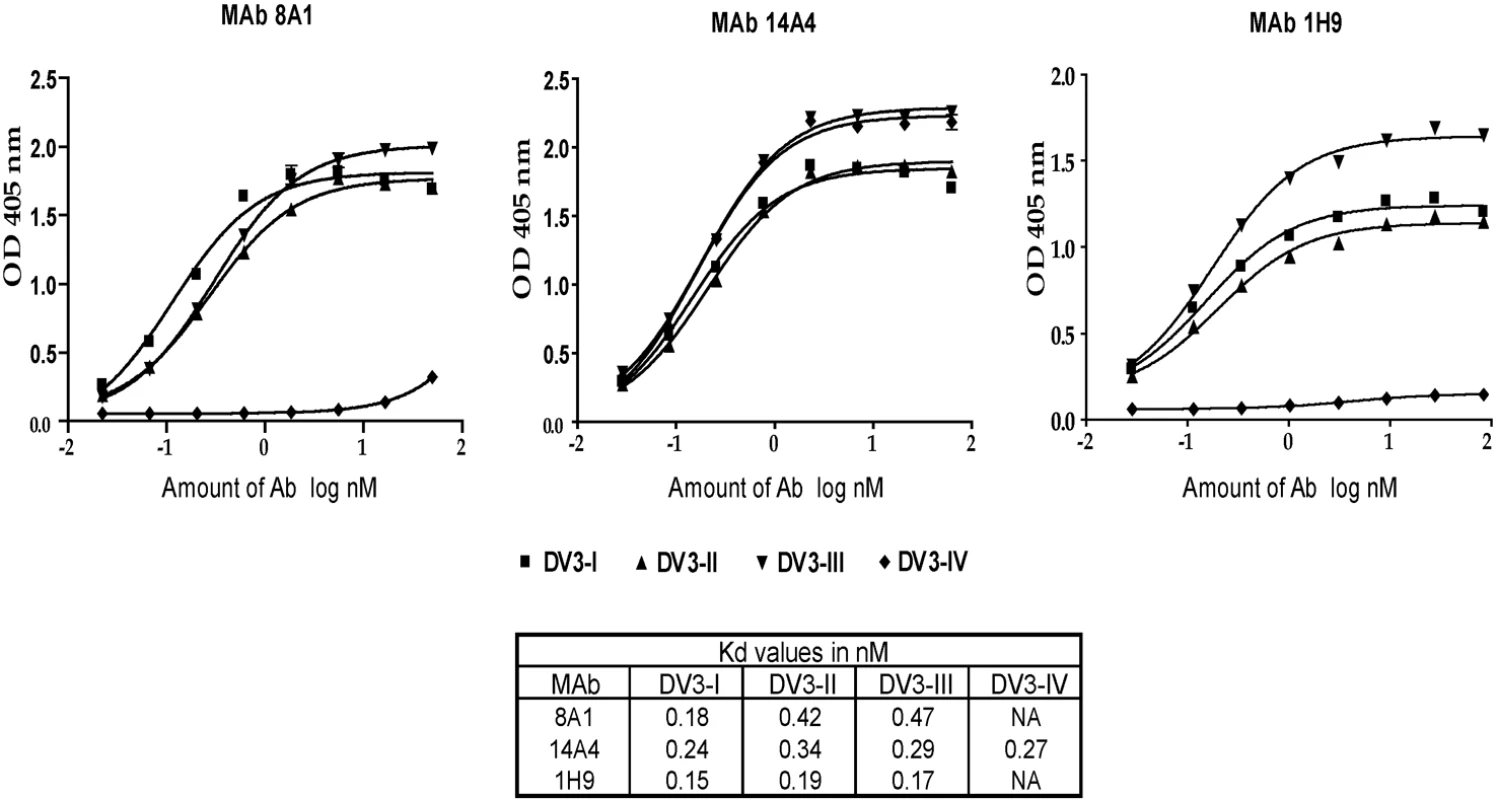 Binding of mouse MAbs to DENV3 genotypes.