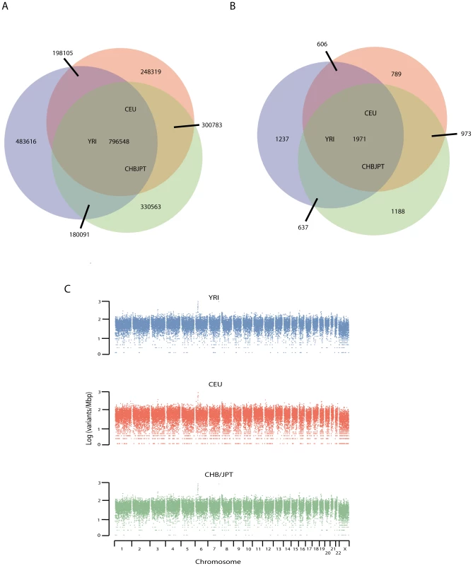 Development of major allele reference sequences.