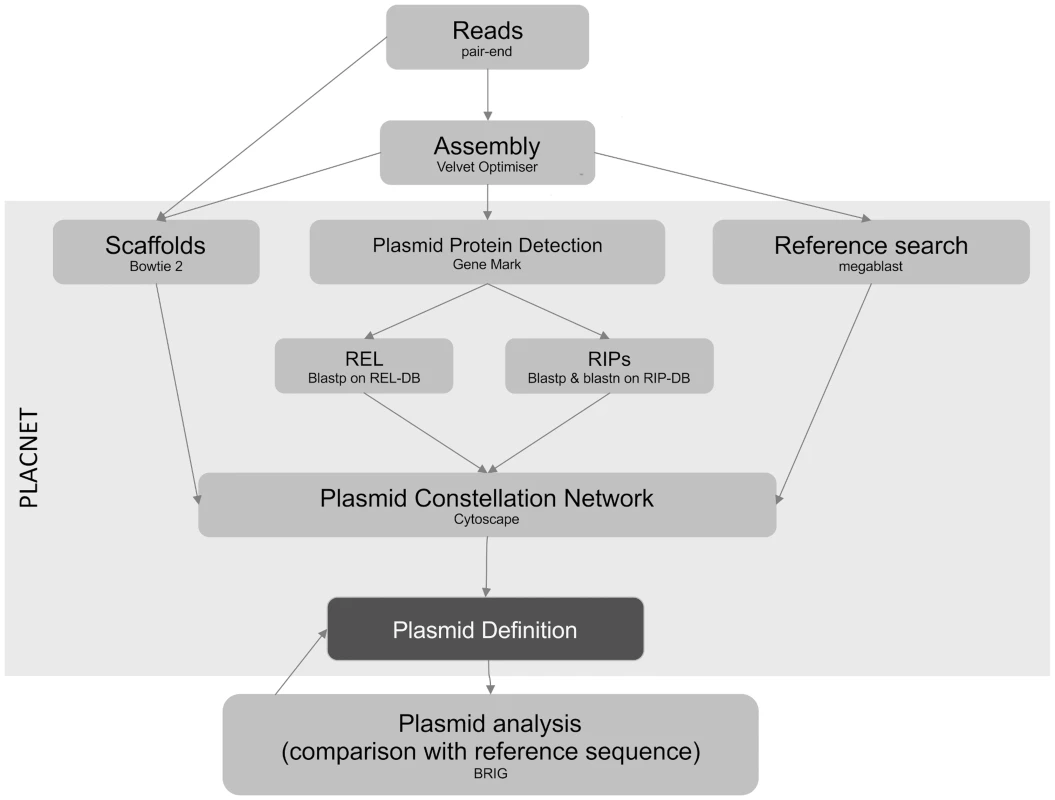 PLACNET flow diagram.