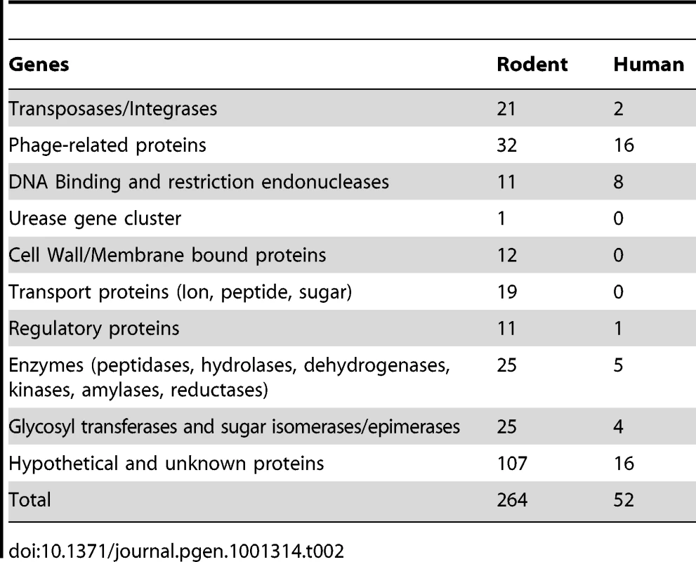 Host-specific genes in rodent and human lineage II strains as identified by CGH.