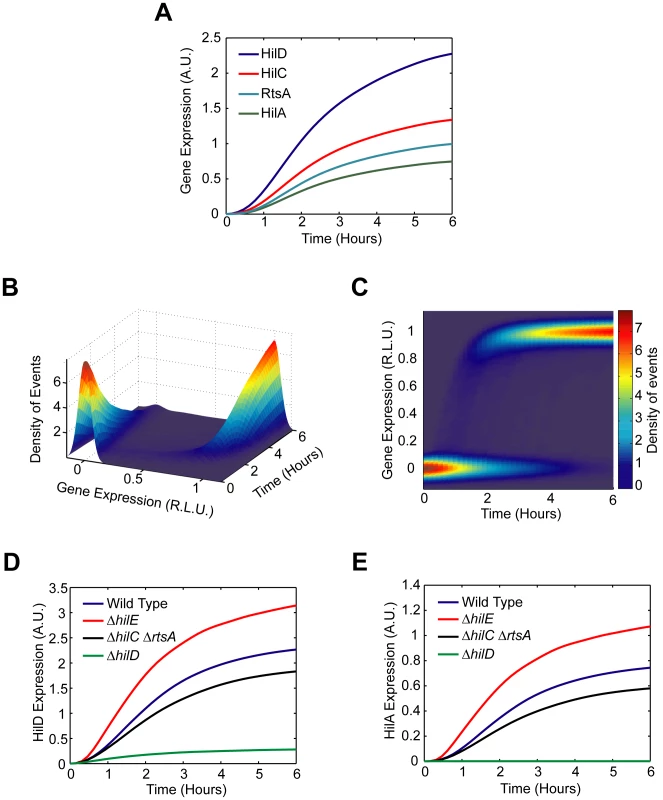 Mathematical model is able to accurately capture SPI1 gene expression dynamics both for wild type and key mutants.