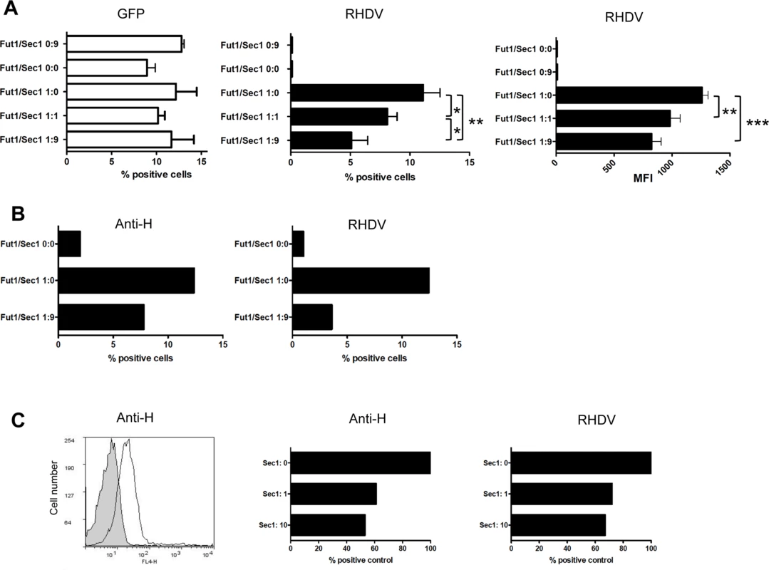 Assay of rSec1 expression on rFut1 activity.