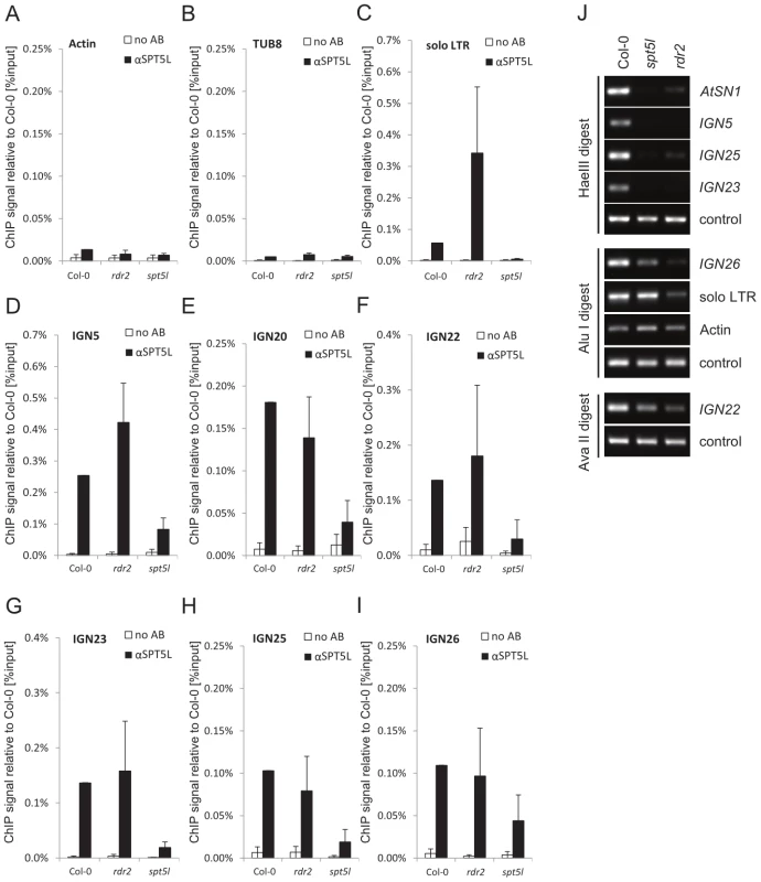 SPT5L interacts with chromatin in an siRNA–independent manner.