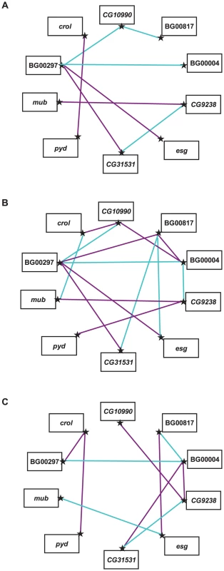 Epistatic interactions between <i>P</i>–element insert lines associated with increased life span.