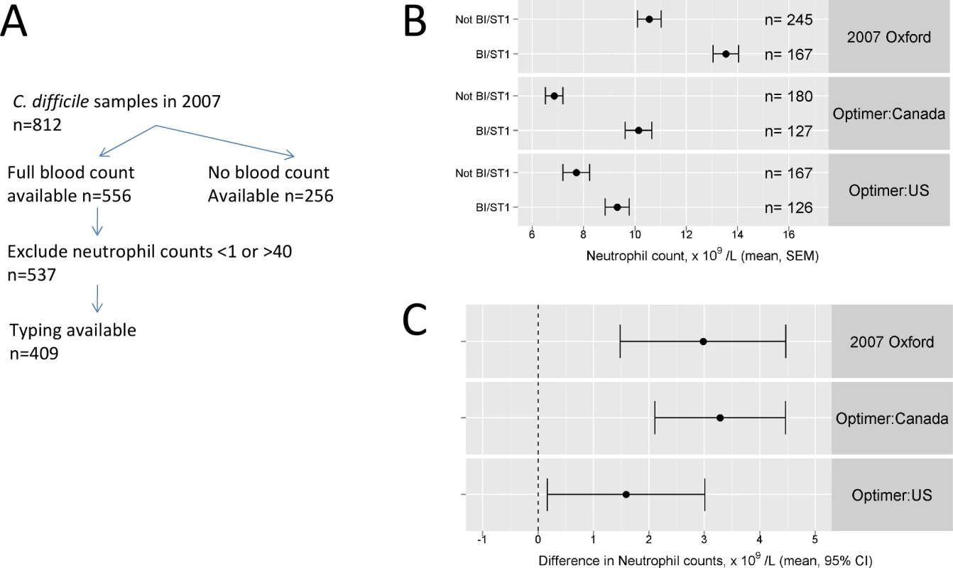 Validation of predictions of passive surveillance: molecular typing data from ORHs and from the 003/004 studies.