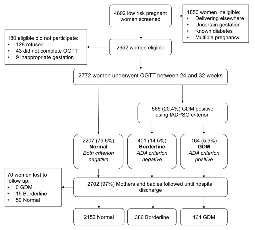 Flow chart of participants in cohort study.