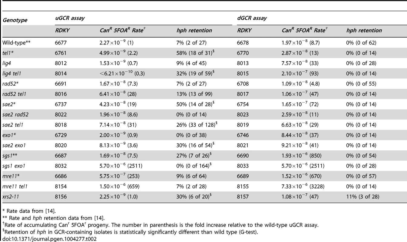 GCR rates and percent <i>hph</i> retention in <i>tel1</i>, <i>sae2</i>, and related mutants.