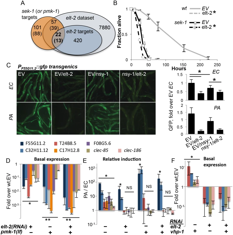<i>elt-2</i> and the p38 pathway co-regulate immune protection.