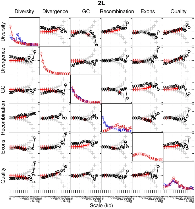 Global wavelet power spectrum and pairwise correlations of detail wavelet coefficients of RAL and RG data for chromosome arm 2L.