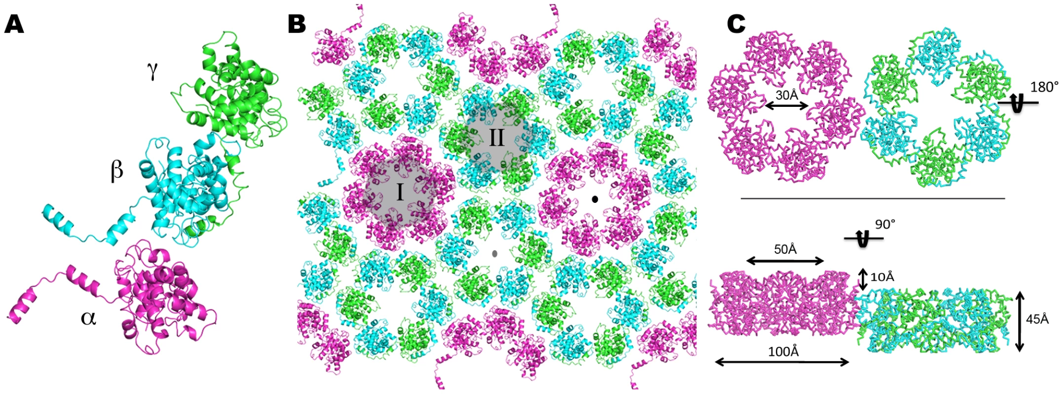 Hexamers formed by N in the crystal.