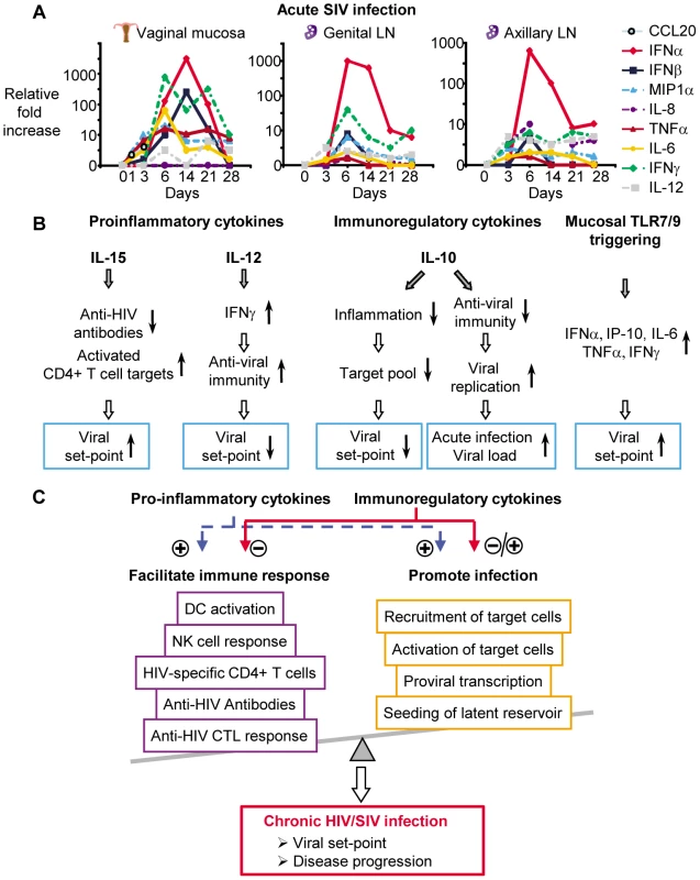 Early cytokines determine pathogenesis of HIV/SIV infection.