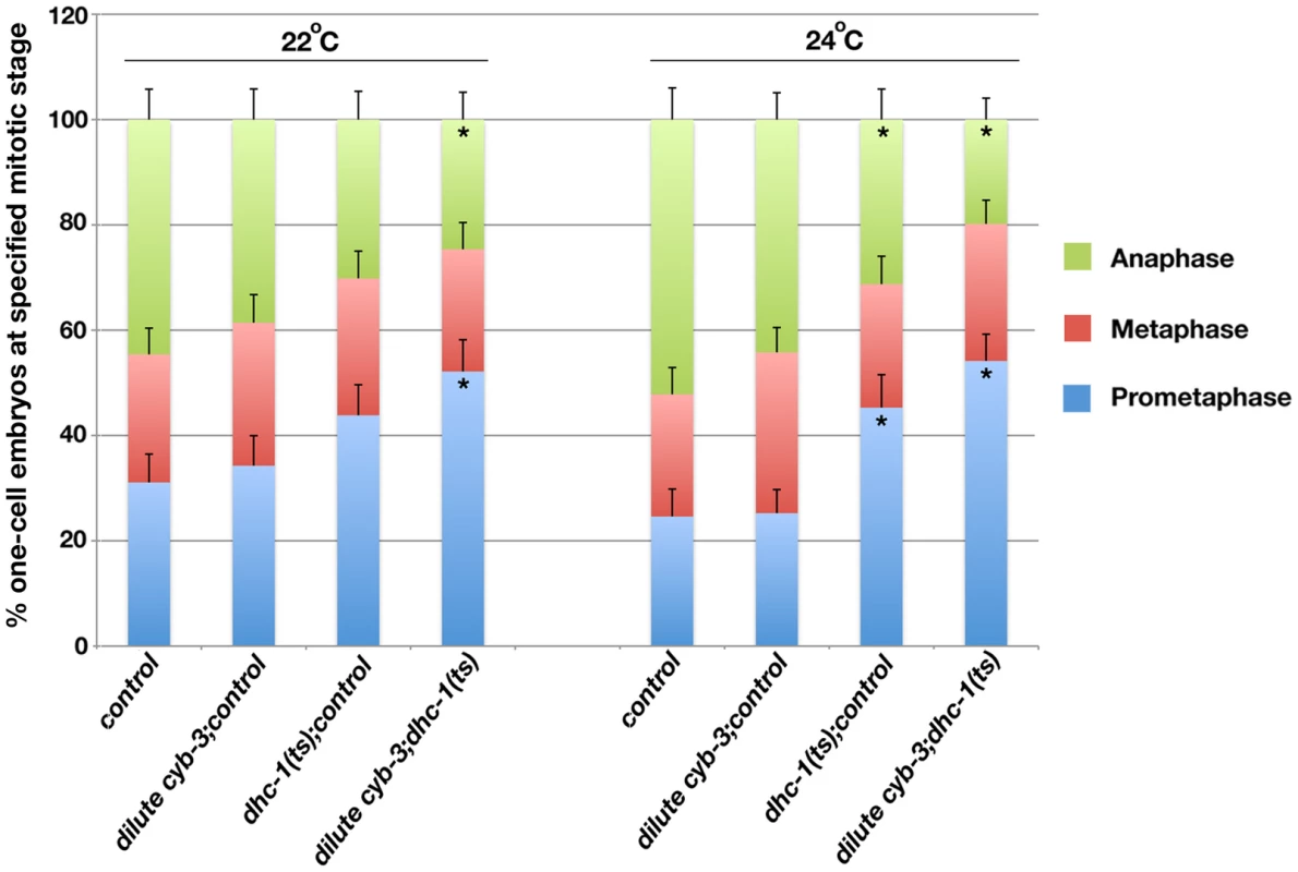 Inhibition of DHC-1 enhances cell cycle progression delays in <i>cyb-3(RNAi)</i> embryos.