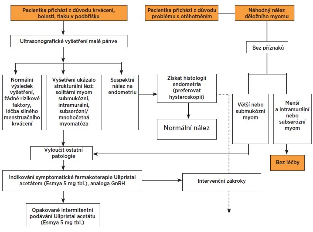 Algoritmus diagnostiky a léčby děložních myomů v ambulantní gynekologické péči