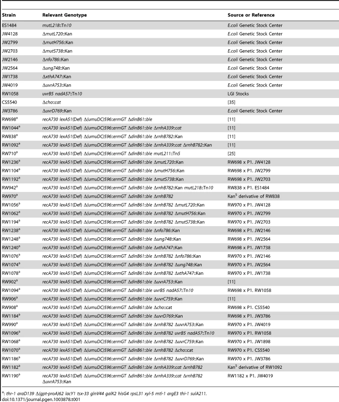 <i>E.coli</i> strains used in this study.
