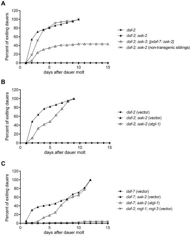 Reconstitution of <i>aak-2</i> in ASI partially rescues dauer exit.