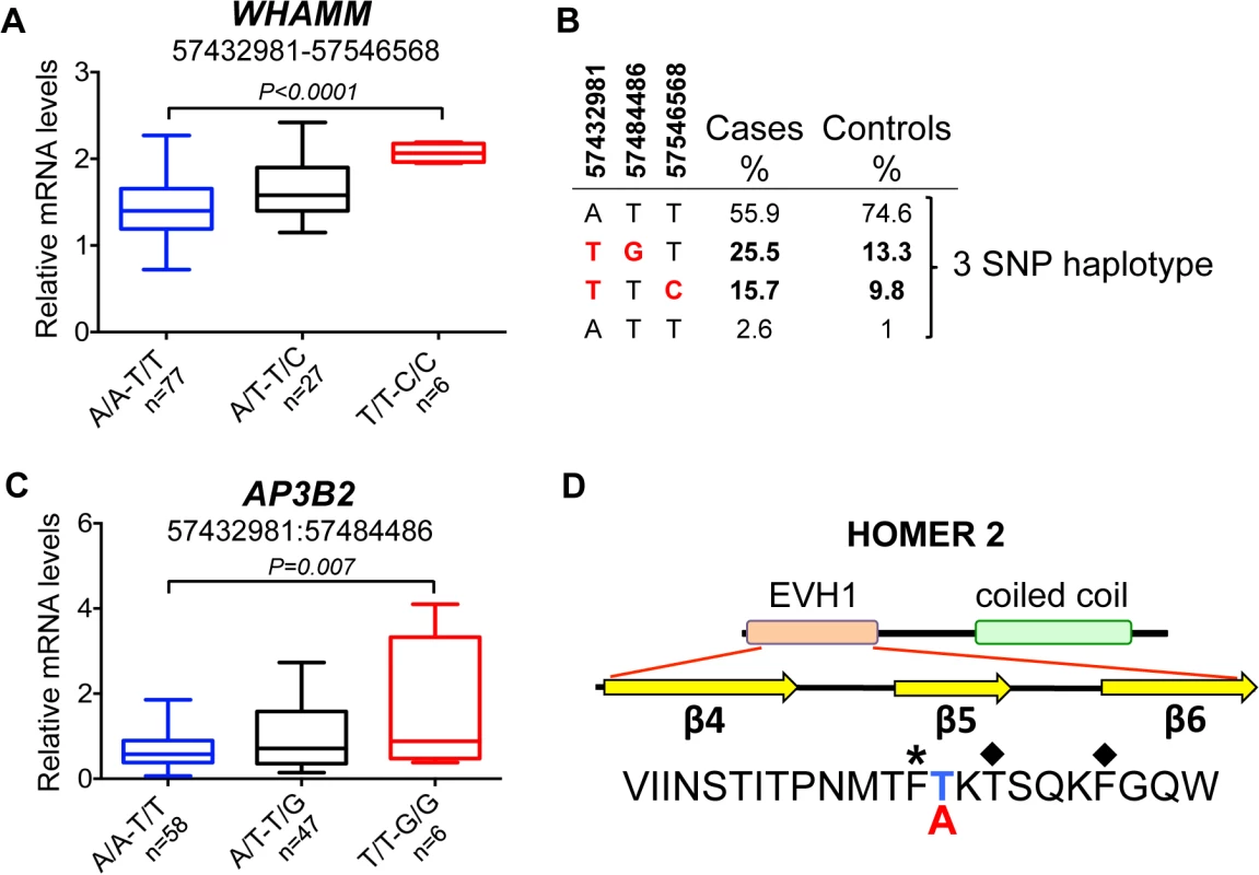 Chromosome 3 risk haplotypes and their effects on genes.
