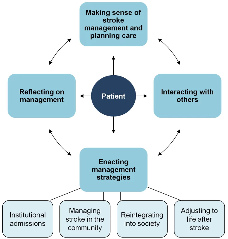 Conceptual model of stroke treatment burden.