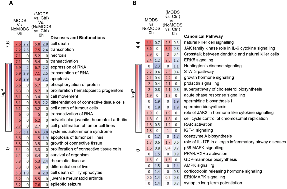 Pathways and biofunctions in the hyperacute response in patients who later develop Multiple Organ Dysfunction Syndrome (MODS) versus those who do not (NoMODS).