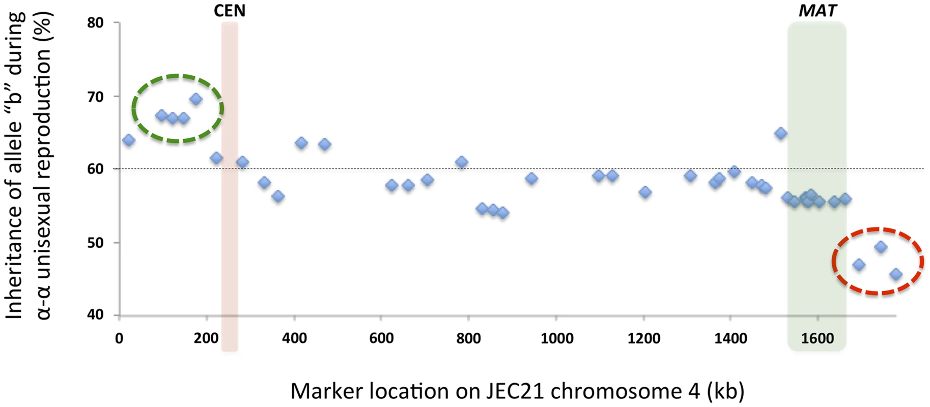 Biased allele inheritance among progeny from α-α unisexual reproduction.