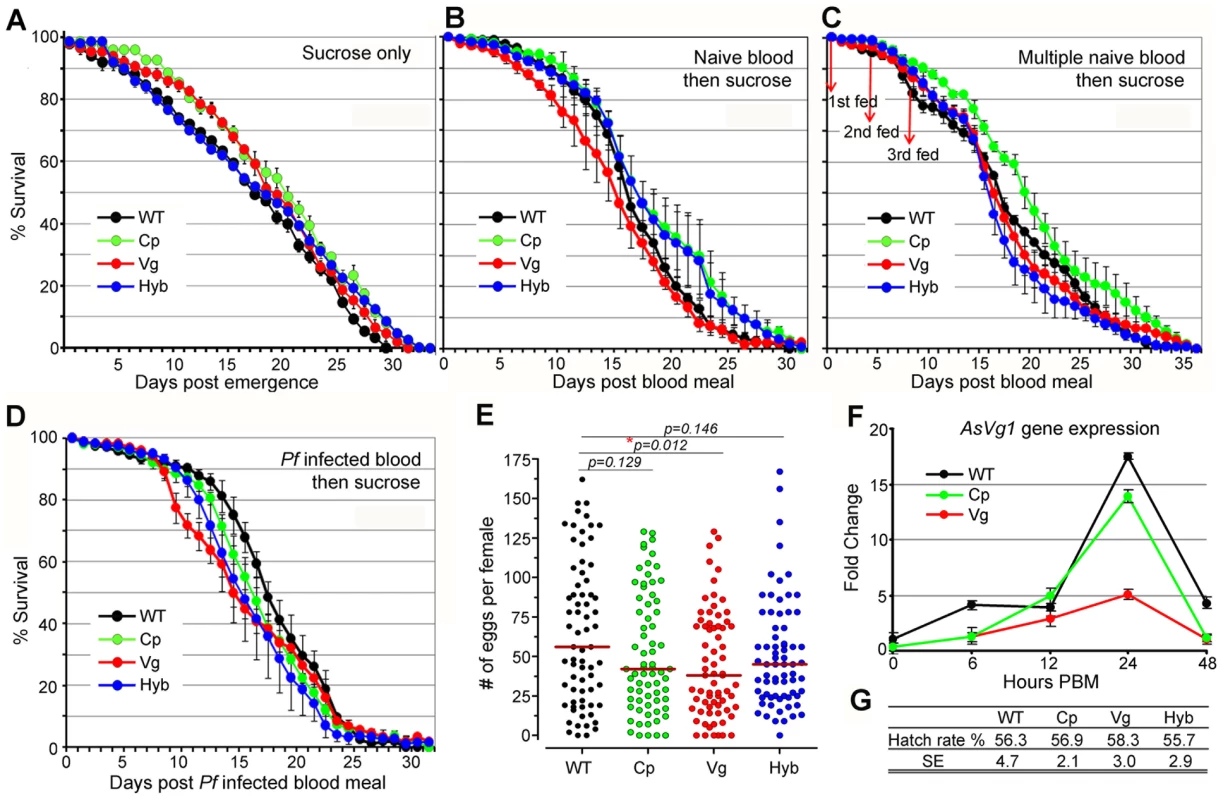 Fitness assessment of immune-enhanced transgenic mosquitoes.