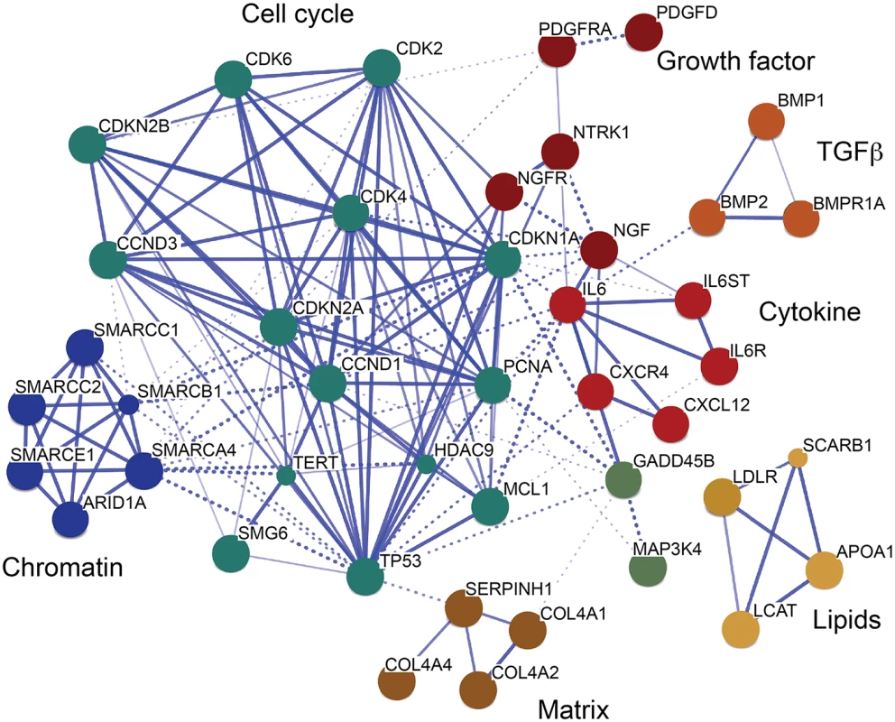 A CAD gene network identified among TCF21 target genes.
