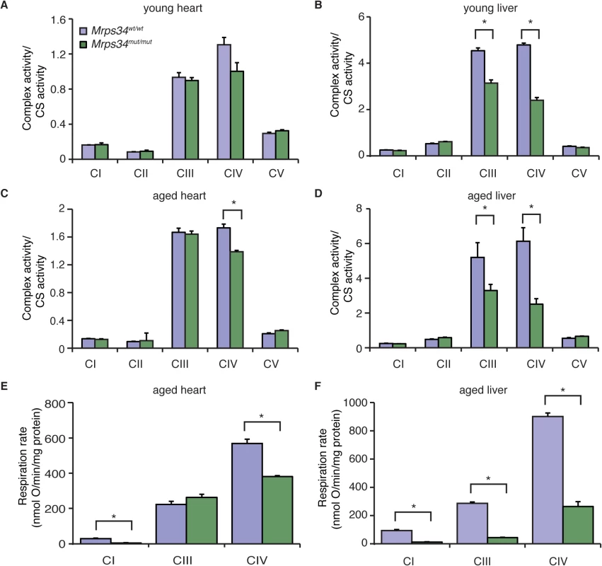 The <i>Mrps34</i> mutation causes reduced oxygen consumption and respiratory complex activities in heart and liver mitochondria.