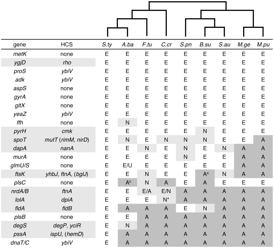 Few high copy suppressors are found for conserved and consistently essential genes.