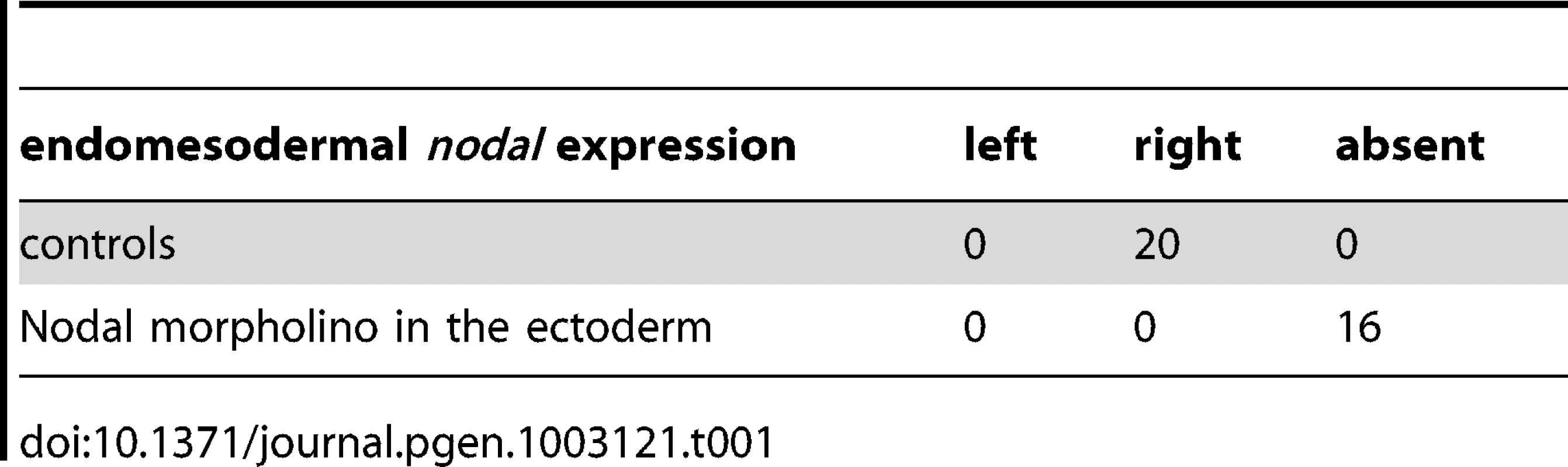 Expression of <i>nodal</i> in the endomesoderm following inhibition of Nodal signaling in the ectoderm.