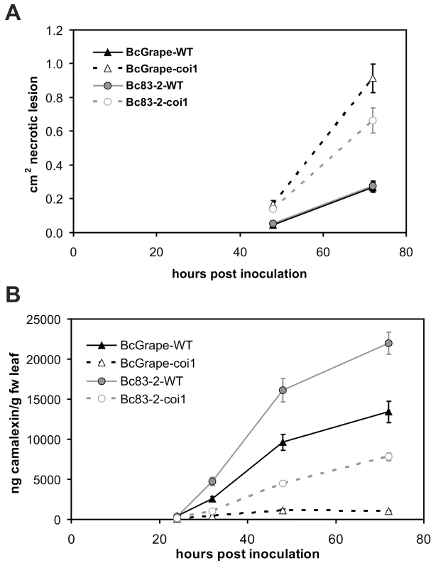 Development of <i>B. cinerea</i>-induced necrotic lesions and accumulation of camalexin in wild-type and jasmonate-deficient <i>A. thaliana</i> leaves over a four-day infection period.