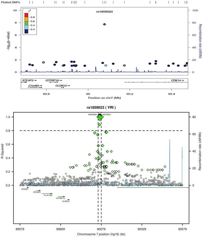 Regional plot (ARIC) of rs1859023 association with incident CHD and LD in the region arround rs1859023 (YRI) <em class="ref">[<b>22]</b></em>, <em class="ref">[23]</em>.