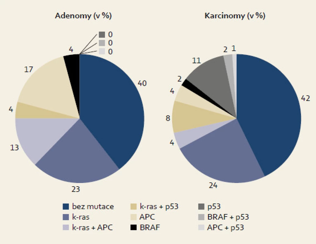 Porovnání četnosti mutací u adenomů a karcinomů.
Fig. 3. Comparison of mutation frequency in adenomas and carcinomas.