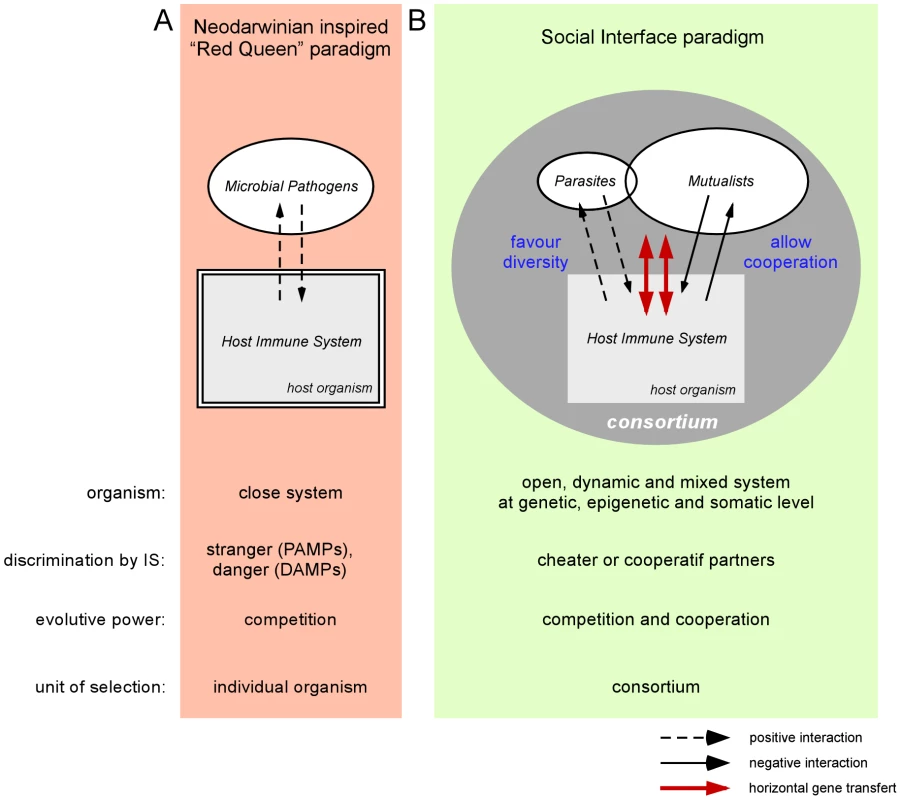 The relationship between the metazoan immune system and the microbial world.