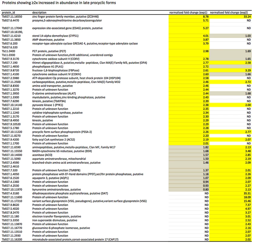 Proteins up-regulated in late procyclic forms.