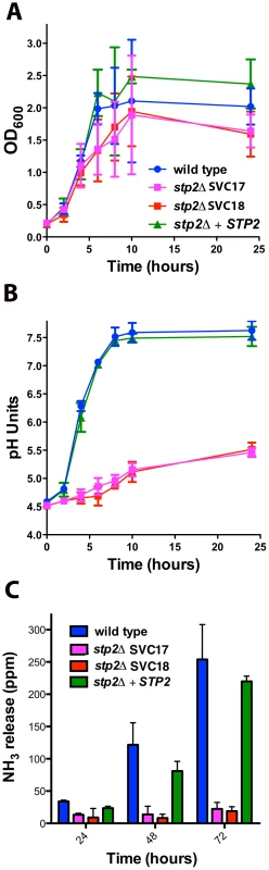 <i>C. albicans</i> s<i>tp2Δ</i> mutant cells fail to change the environmental pH.